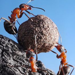 e29d-fca0-427f-9bd4-6e458f2cd74a