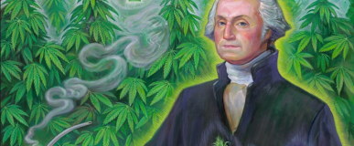 2019 Can of&nbsp;Bliss