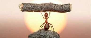 The Antidote To&nbsp;Despair