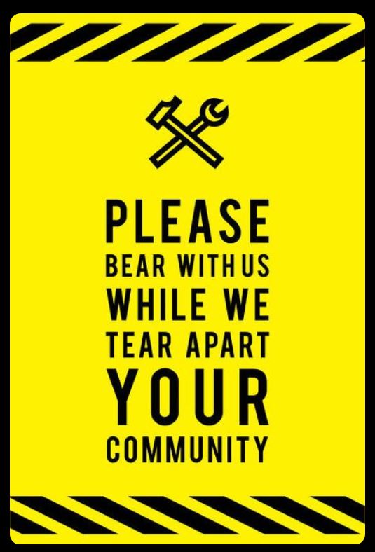 bear