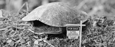 Give Up Rent For&nbsp;Lent